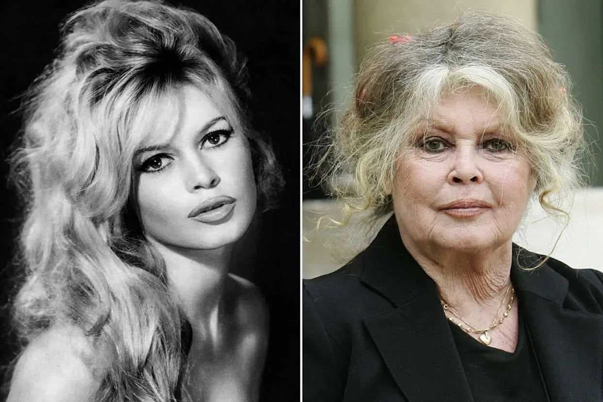 وفاة الممثلة الفرنسية بريجيت باردو عن عمر يناهز 91 عاما