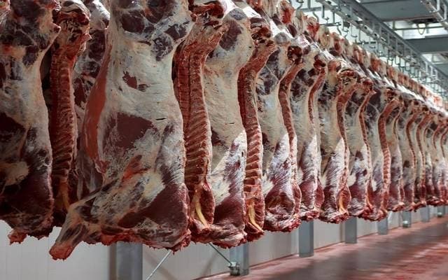 العراق يحدد شروط استيراد اللحوم للوقاية من الحمى النزفية