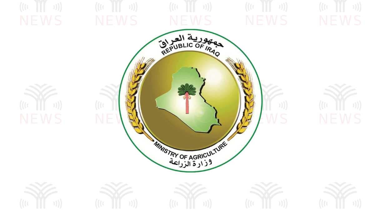 وزارة الزراعة: حظر دخول الدجاج المجمد إلى العراق لحماية المنتج المحلي
