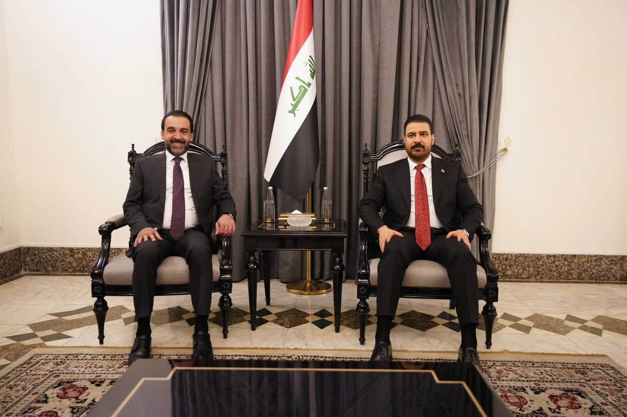رئيس مجلس الوزراء يستقبل رئيس حزب تقدم