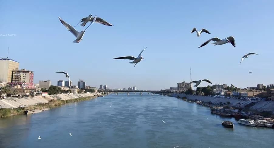 الأنواء الجوية: انخفاض تدريجي بدرجات الحرارة بعد منتصف آب واندفاع كتلة هوائية معتدلة